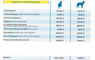 İstanbul Veteriner Hekimler Odası – İvho 2021 Fiyat Tarifesi